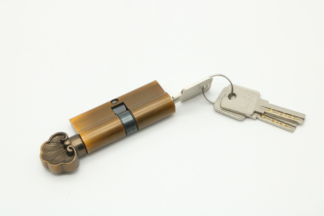 commercial door universal Europe standard brass cylinder