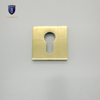 Fission Gold Entrance Door handle