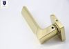 Gold Universal Entrance Door handle With Snib