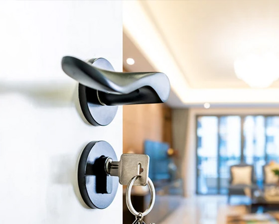 Door handle with lock cylinder and key, part of a door lock system (includes lock body)