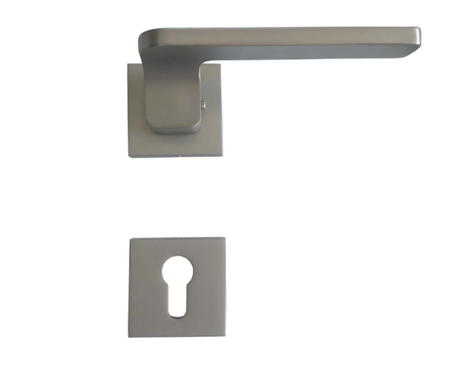 Privacy Matte Entrance Door handle With Snib 